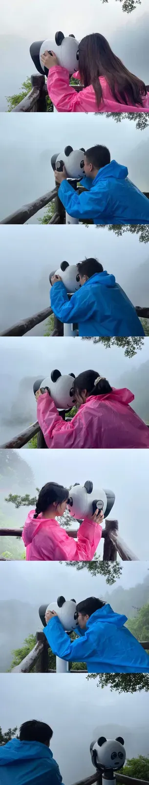 Panda Telescope Panorama