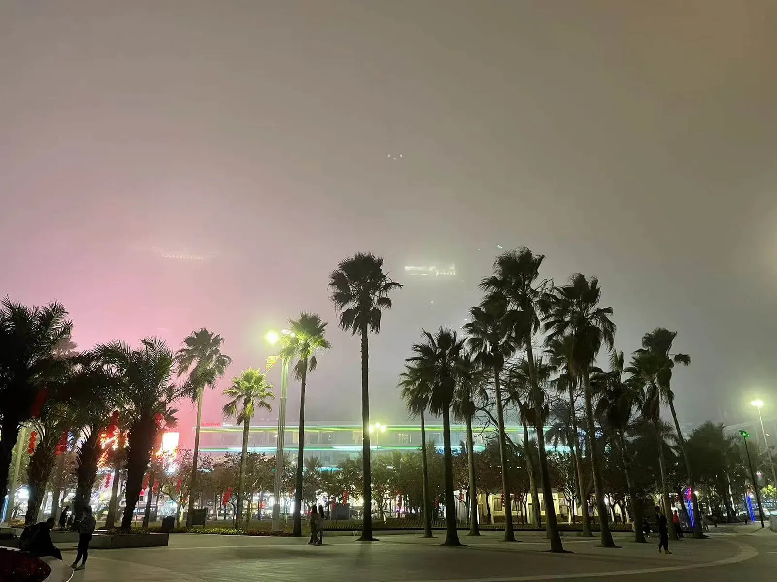 Palm Plaza Night