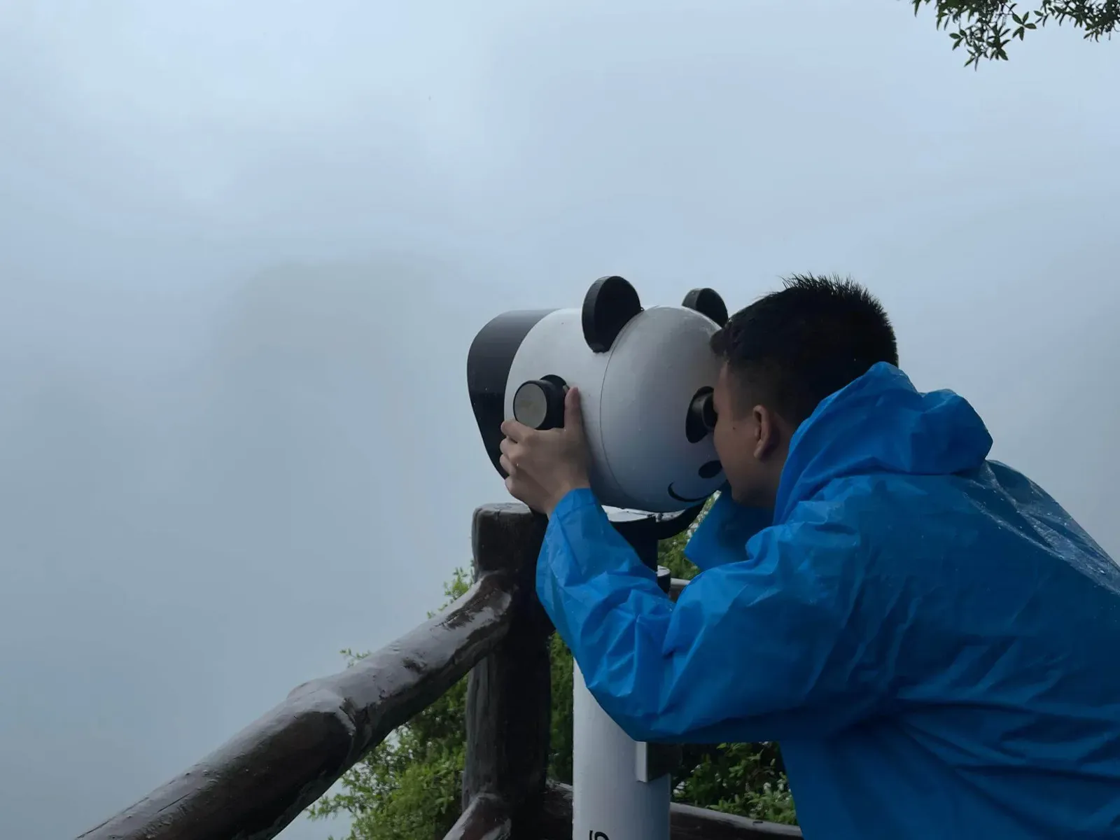 Panda Telescope 2