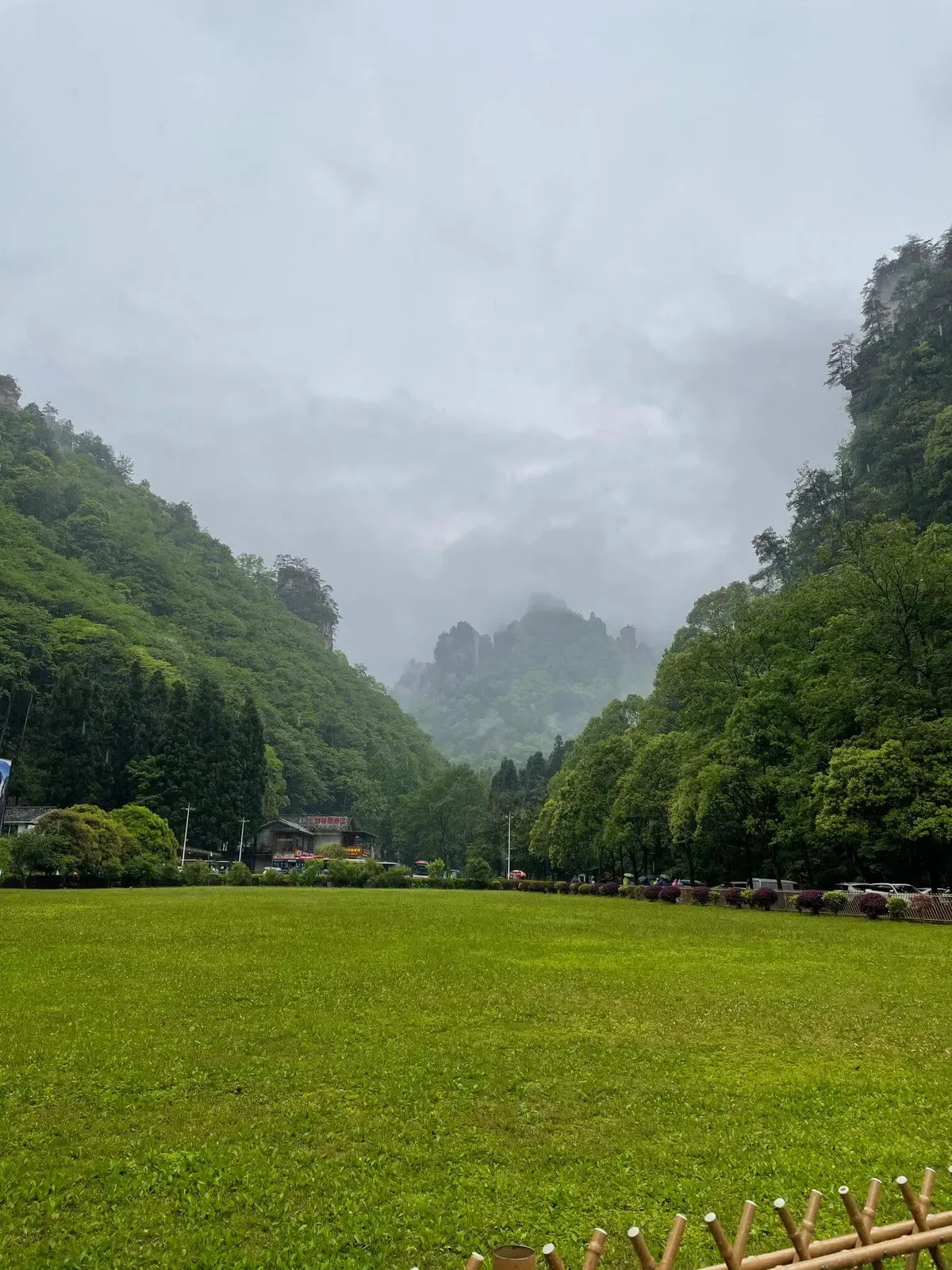 Valley Meadow