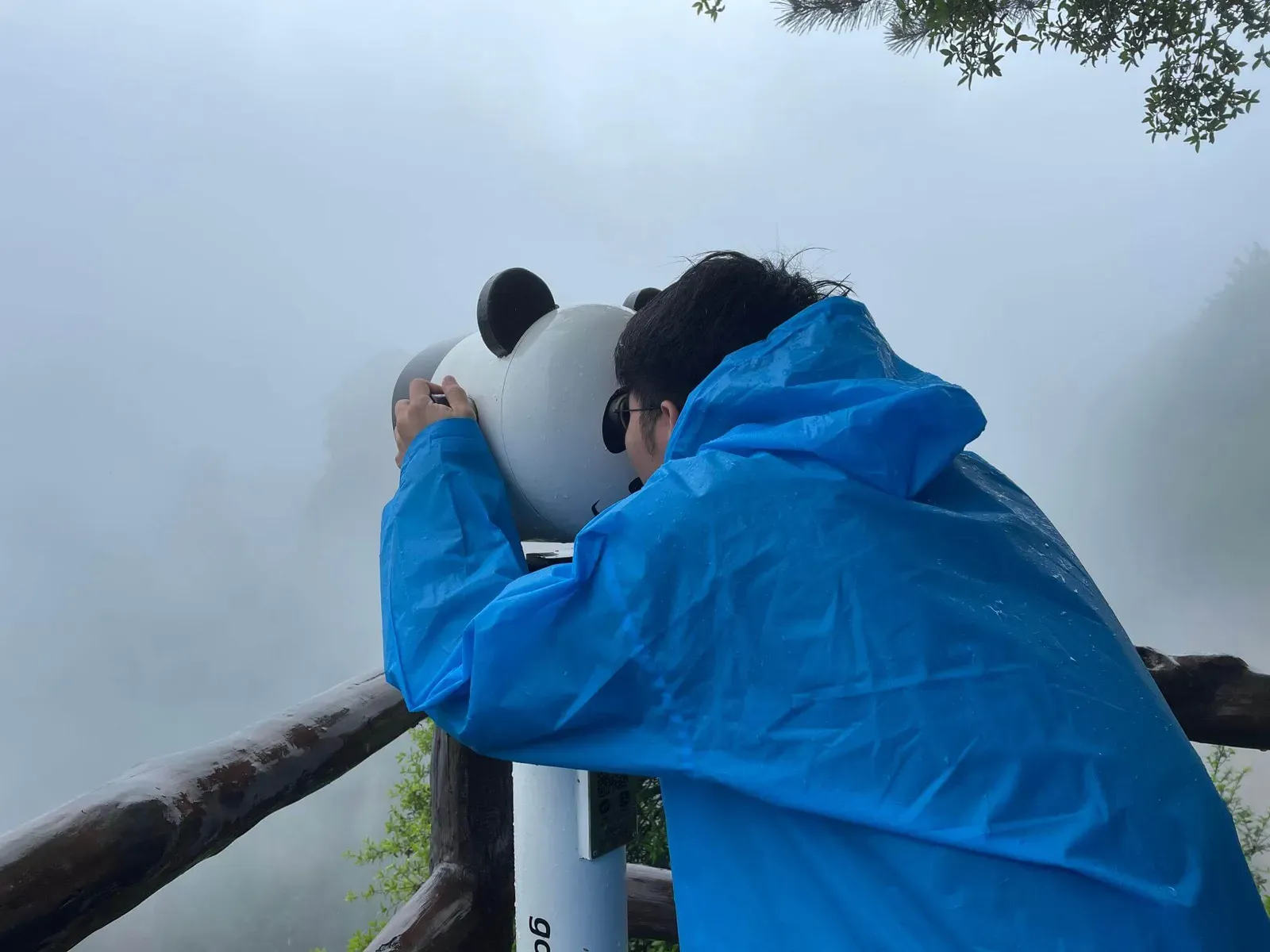 Panda Telescope 3