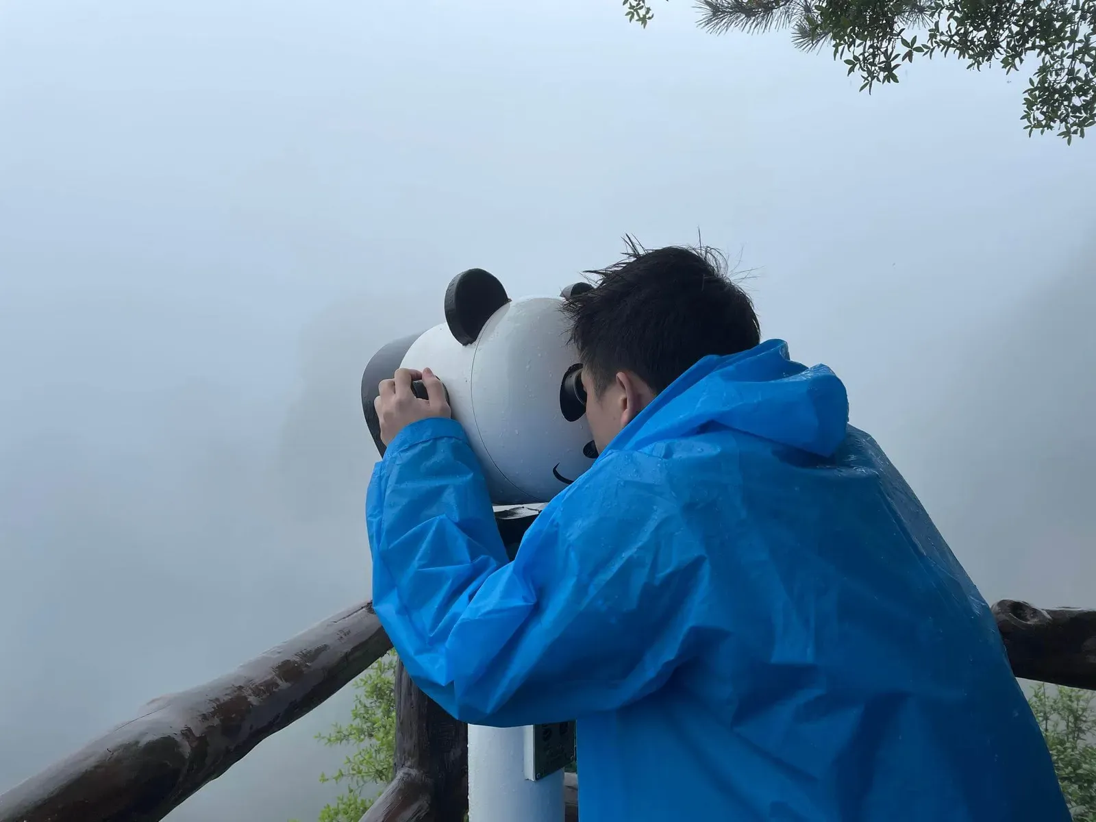 Panda Telescope 4