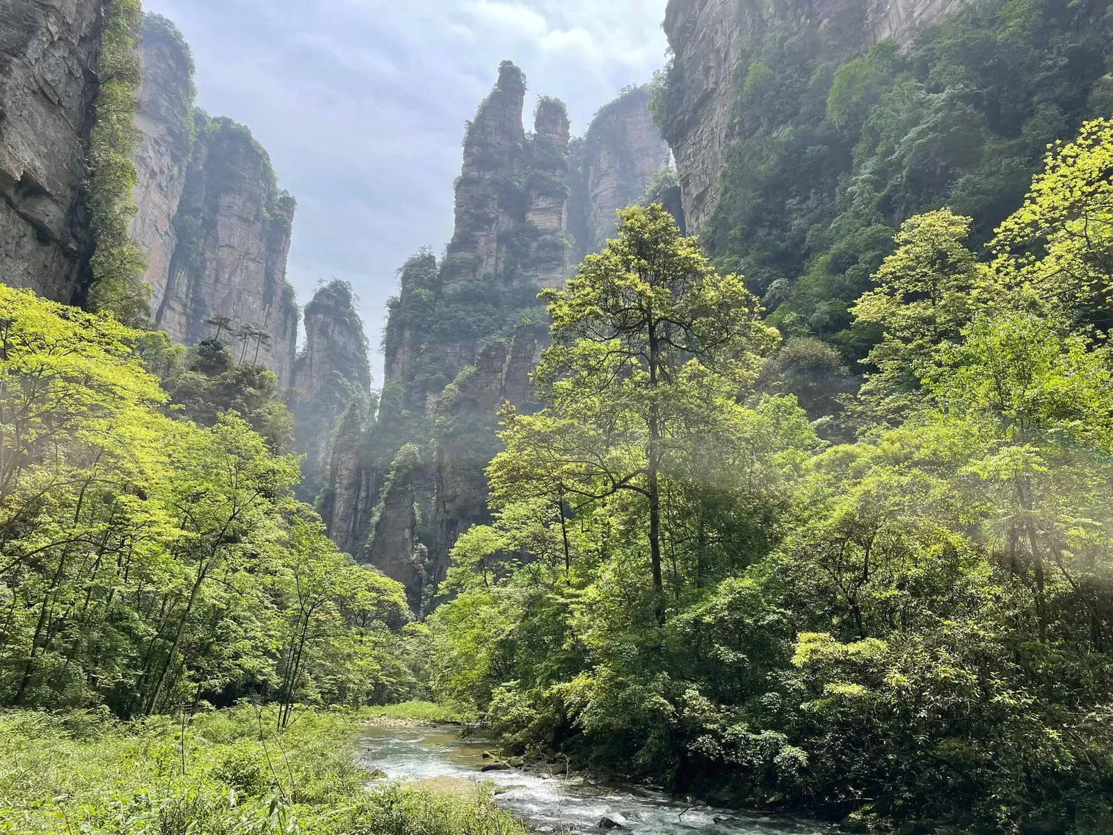 Peaks Green Forest