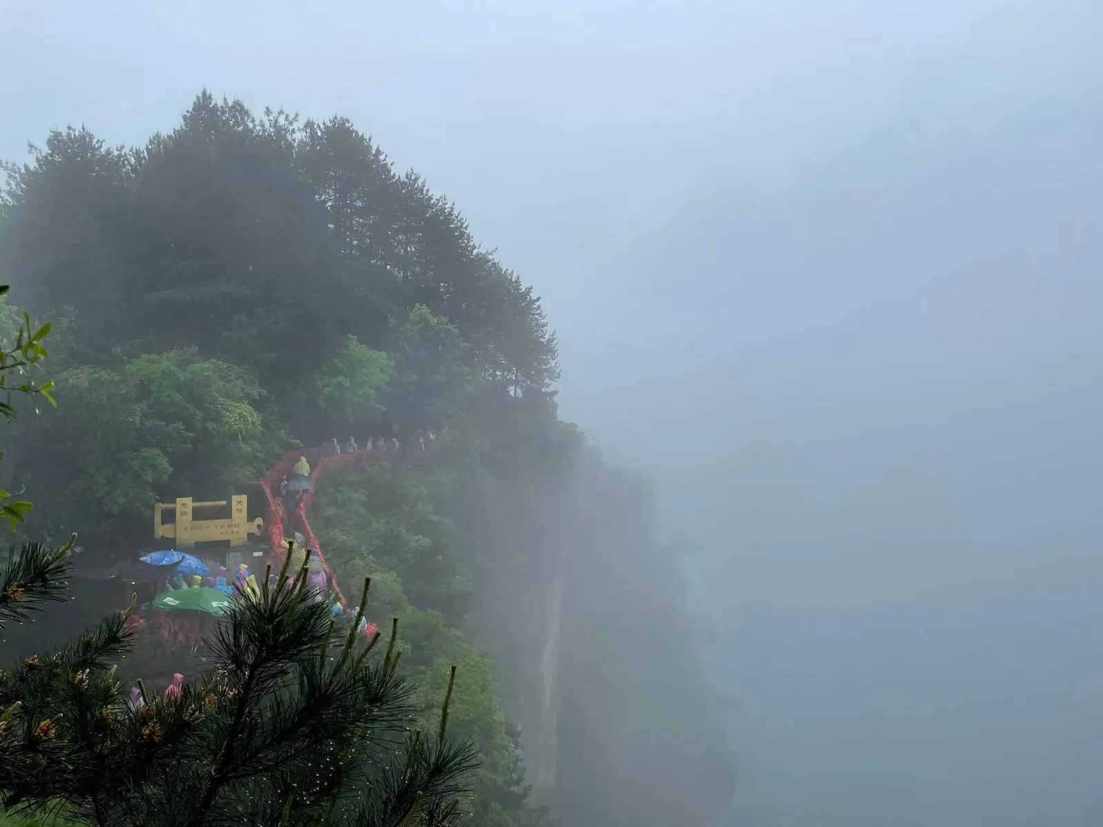 Misty Boardwalk