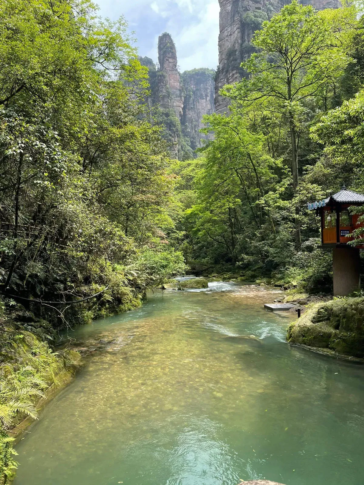 Canyon Stream