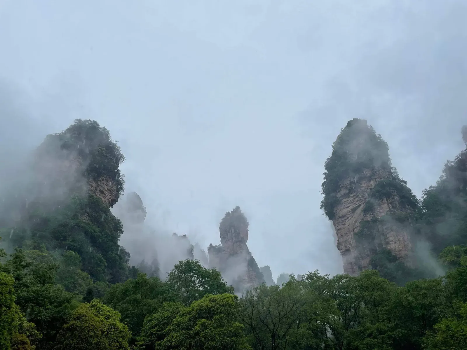 Peak Forest Mist